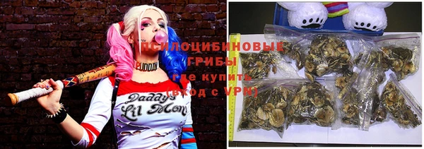 МДПВ Алексеевка