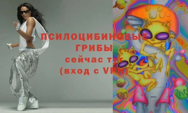МДПВ Алексеевка